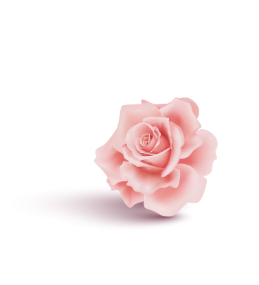 2025 母親節資產 7花 左邊