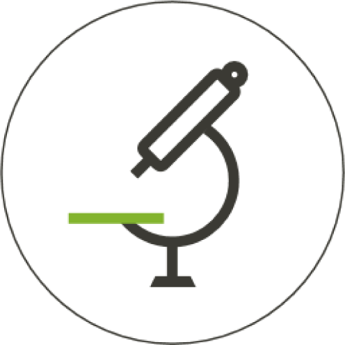 語詞分辨能力下降 重度聽損 聽力損失