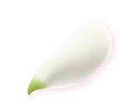 斗六助聽器開幕 上懸花