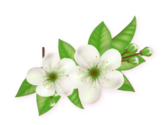 斗六助聽器開幕資產 4兩隻花 綠色