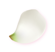 斗六助聽器開幕資產 5盛大開幕 上花