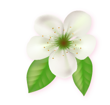 斗六助聽器開幕資產 有葉子的花