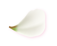 斗六助聽器開幕 圓花